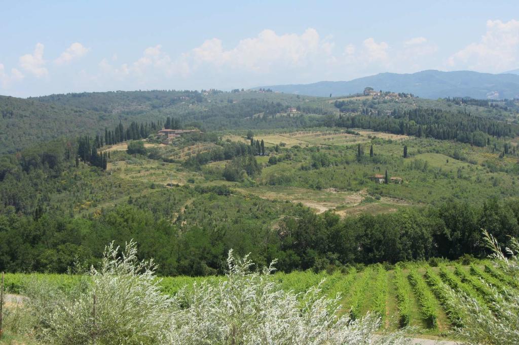 Winery Houses In Chianti Mercatale Val Di Pesa Habitación foto